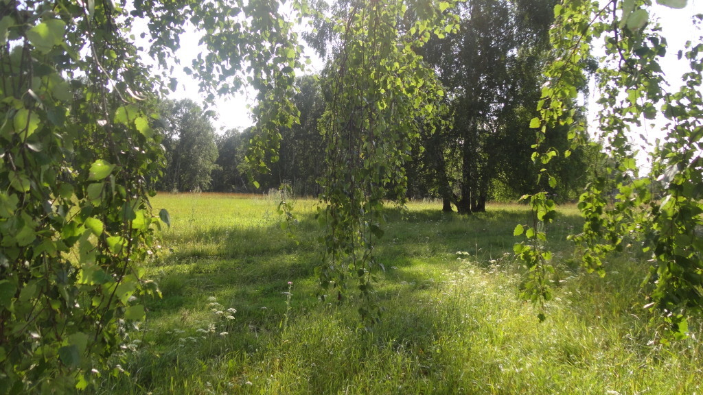 Прекрасная Родина моя г. Томск